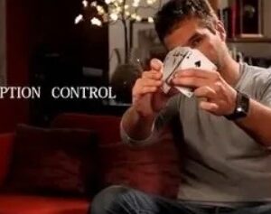 Perception Control by Nestor Hato