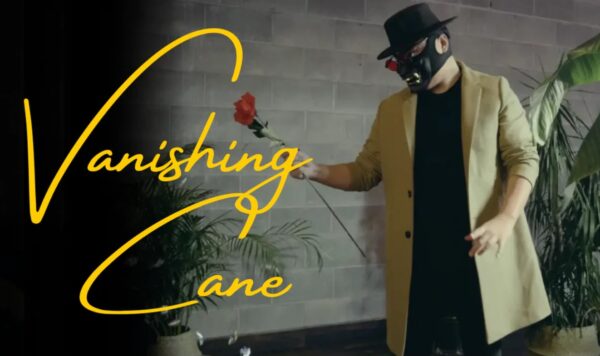 Bojan Barisic - The Vanishing Cane