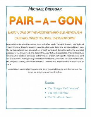 Pair-a-Gon by Michael Breggar