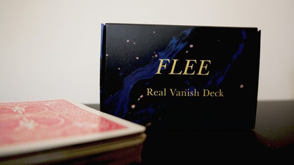FLEE by Bryan Codecasa