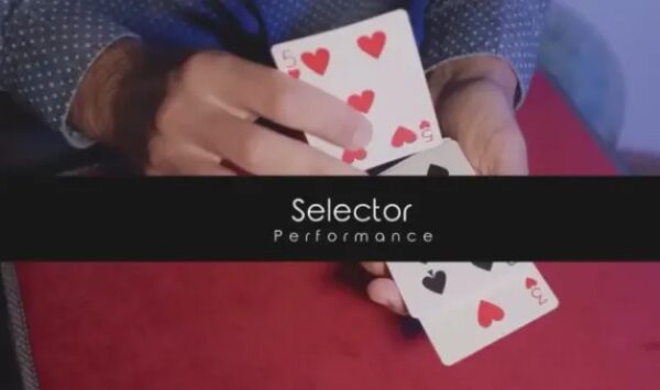 Yoann Fontyn - Selector
