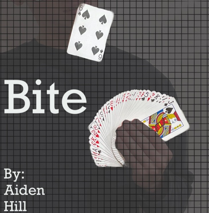 Bite by Aiden Hill