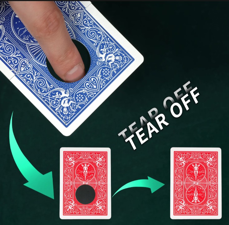 Color-changing black hole by WZ