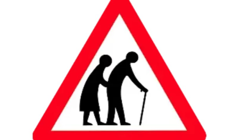 O.A.P by Stephen Eric Young