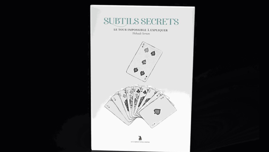 Subtle Secrets 2 by Thibault Ternon