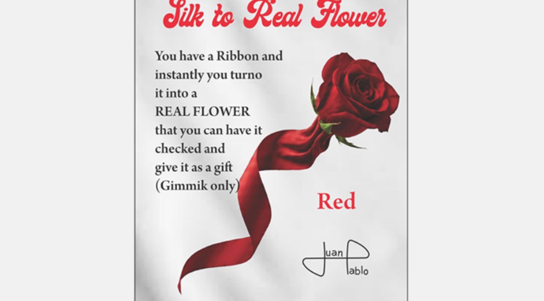 Silk to Real Flower by Juan Pablo.