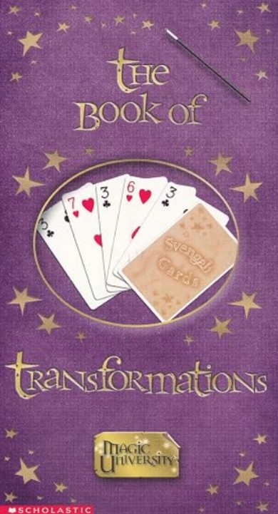 Tom Mason and Dan Danko - The Book of Transformations.