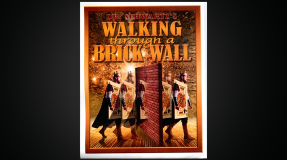 Walking Thru a Brick Wall by Martin Schwartz.