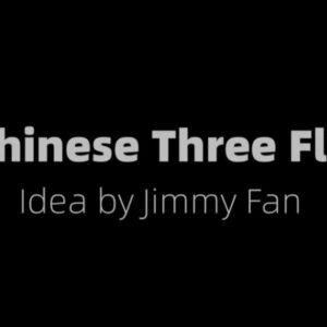 Chinese 3 Fly by Jimmy Fan and Artisan Coin.