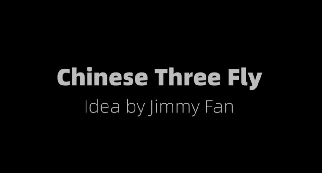 Chinese 3 Fly by Jimmy Fan and Artisan Coin.