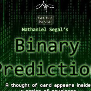 Binary Prediction by Nathaniel Segal