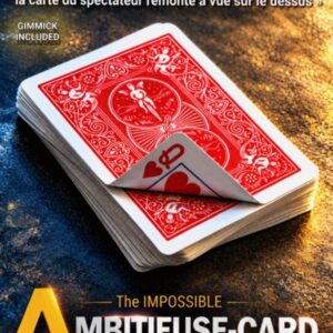 IMPOSSIBLE AMBITIEUSE CARD by Mickael Chatelain.