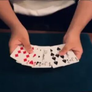 TOEV Count by Keito K.